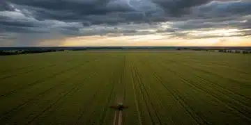 Agricultural fields under a dramatic sky, symbolizing weather impacts on 2026 crop yields.